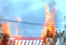 Πάτρα: Κινδύνεψαν σπίτια από φωτιά στο Μπεγουλάκι, καταγγελίες για ακαθάριστα οικόπεδα patra fotia2 14042026 1200x630.jpg