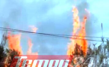 patra fotia2 14042026 1200x630.jpg