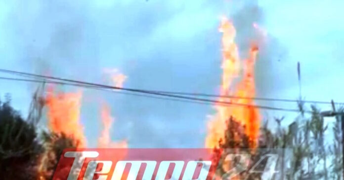 patra fotia2 14042026 1200x630.jpg