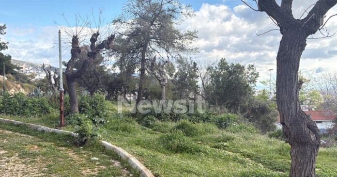 peristeri pyr 1 1200x630.jpg