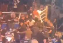 pigmaxos russia turkey 1200x630.jpg