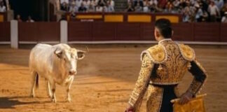 pineda 1200x630.jpg