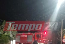 pirosvestiki1 1200x630.jpg