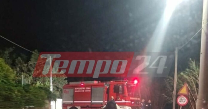 pirosvestiki1 1200x630.jpg