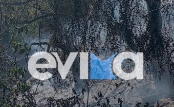 platana fotia evoia evima 1200x630.jpg