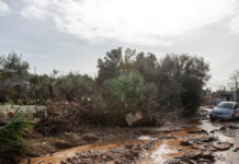 plimmires eurok 1200x630.jpg