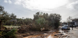 plimmires eurok 1200x630.jpg