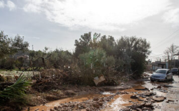 plimmires eurok 1200x630.jpg