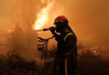 pyrosbestiki 1 1.jpg