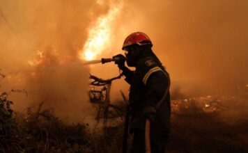 pyrosbestiki 1 1.jpg