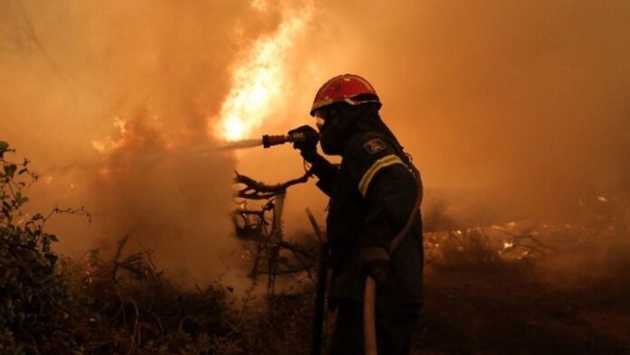 pyrosbestiki 1 1.jpg