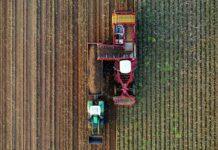 rob mulder CcQug0Uwvn8 unsplash.jpg