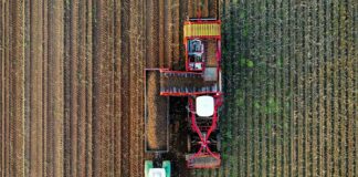 rob mulder CcQug0Uwvn8 unsplash.jpg