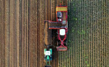 rob mulder CcQug0Uwvn8 unsplash.jpg