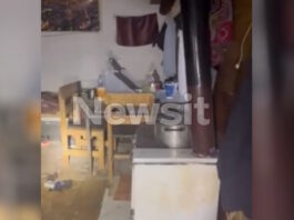 rodoph mafiozoi tourkoi1 1200x630.jpg