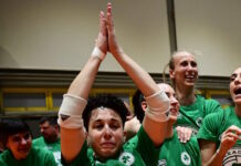 rogka 3 1 1200x630.jpg