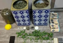 screenshot 1 6.webp.webp