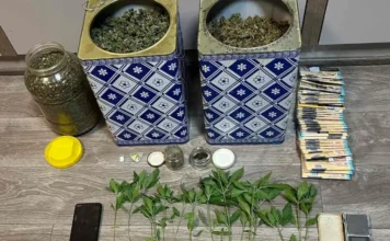 screenshot 1 6.webp.webp