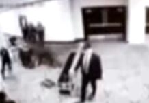 shooter 1200x630.jpg