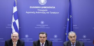 siskepsi afthodis piretos2 1200x630.jpeg