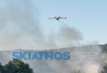 skiathos platania skiathoslife 1 1200x630.jpg