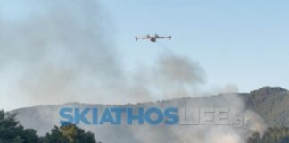 skiathos platania skiathoslife 1 1200x630.jpg