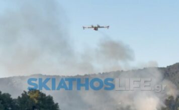 skiathos platania skiathoslife 1 1200x630.jpg