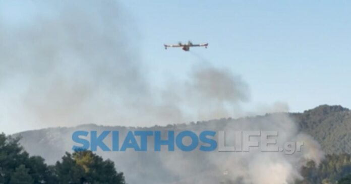 skiathos platania skiathoslife 1 1200x630.jpg