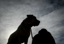 skilos eurok 1200x630.jpg