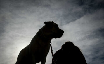 skilos eurok 1200x630.jpg