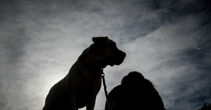 skilos eurok 1200x630.jpg skilos eurok 1200x630.jpg