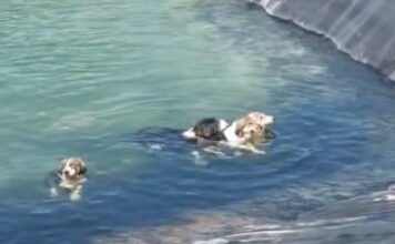 skylia katerinh 1200x630.jpg