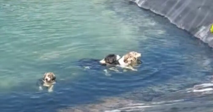 skylia katerinh 1200x630.jpg skylia katerinh 1200x630.jpg