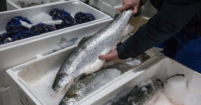 solomos 1200x630.jpg