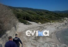 soros evoia1 1200x630.jpg