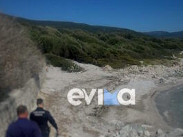 soros evoia1 1200x630.jpg