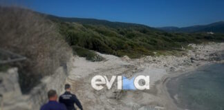 soros evoia1 1200x630.jpg