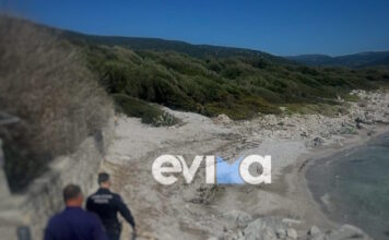 soros evoia1 1200x630.jpg