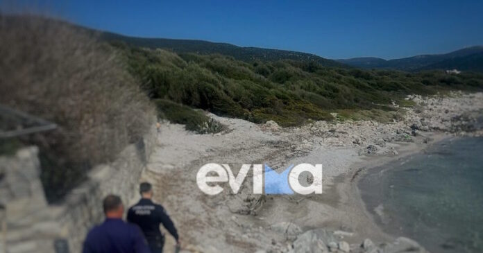 soros evoia1 1200x630.jpg