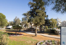 spy8903 1 1200x630.jpg