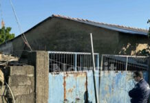 stavlos kalamata 1200x630.jpg