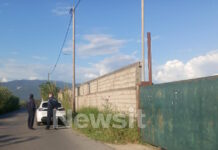 stavlos kalamata1 1200x630.jpg