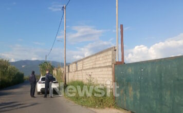 stavlos kalamata1 1200x630.jpg