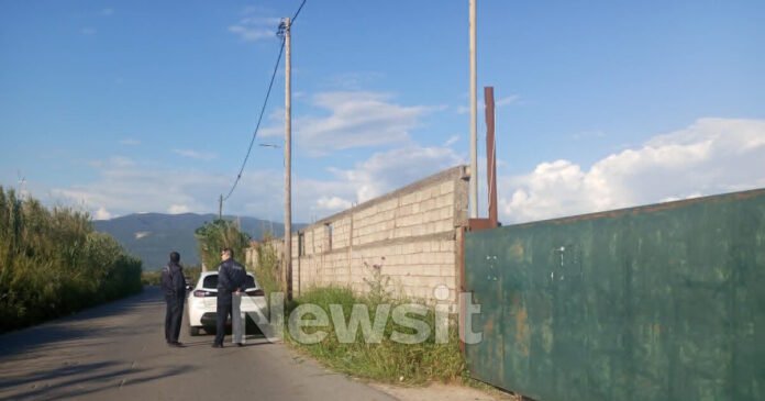 stavlos kalamata1 1200x630.jpg