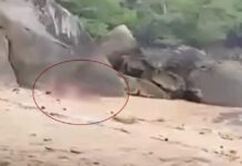 tailandh 1200x630.jpg