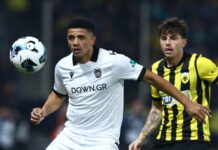 taison rota 1200x630.jpg