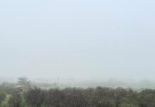 taygetos 1200x630.jpg