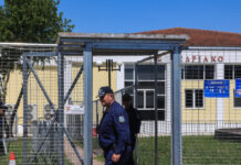 tempi diki eurok 1200x630.jpg