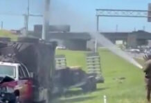 tenesi bees2 18042026 1200x630.jpg