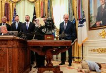 travis smith1 1200x630.jpg